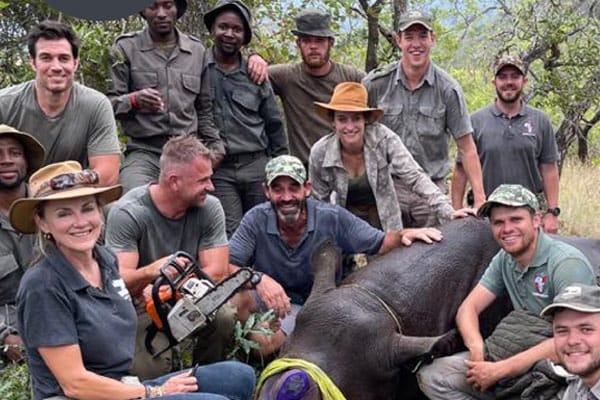 Care for Wild Newsletter