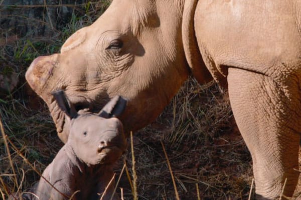 Care for Wild Newsletter