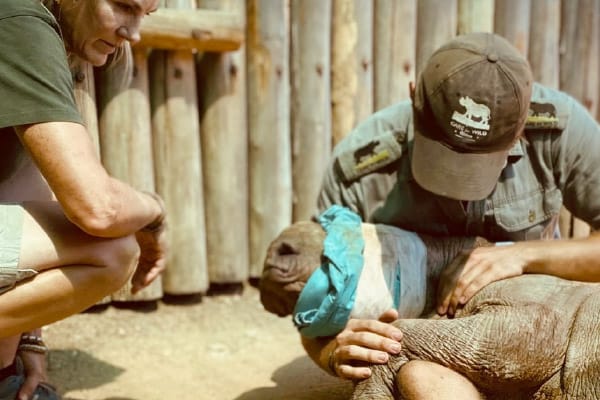 Care for Wild Newsletter