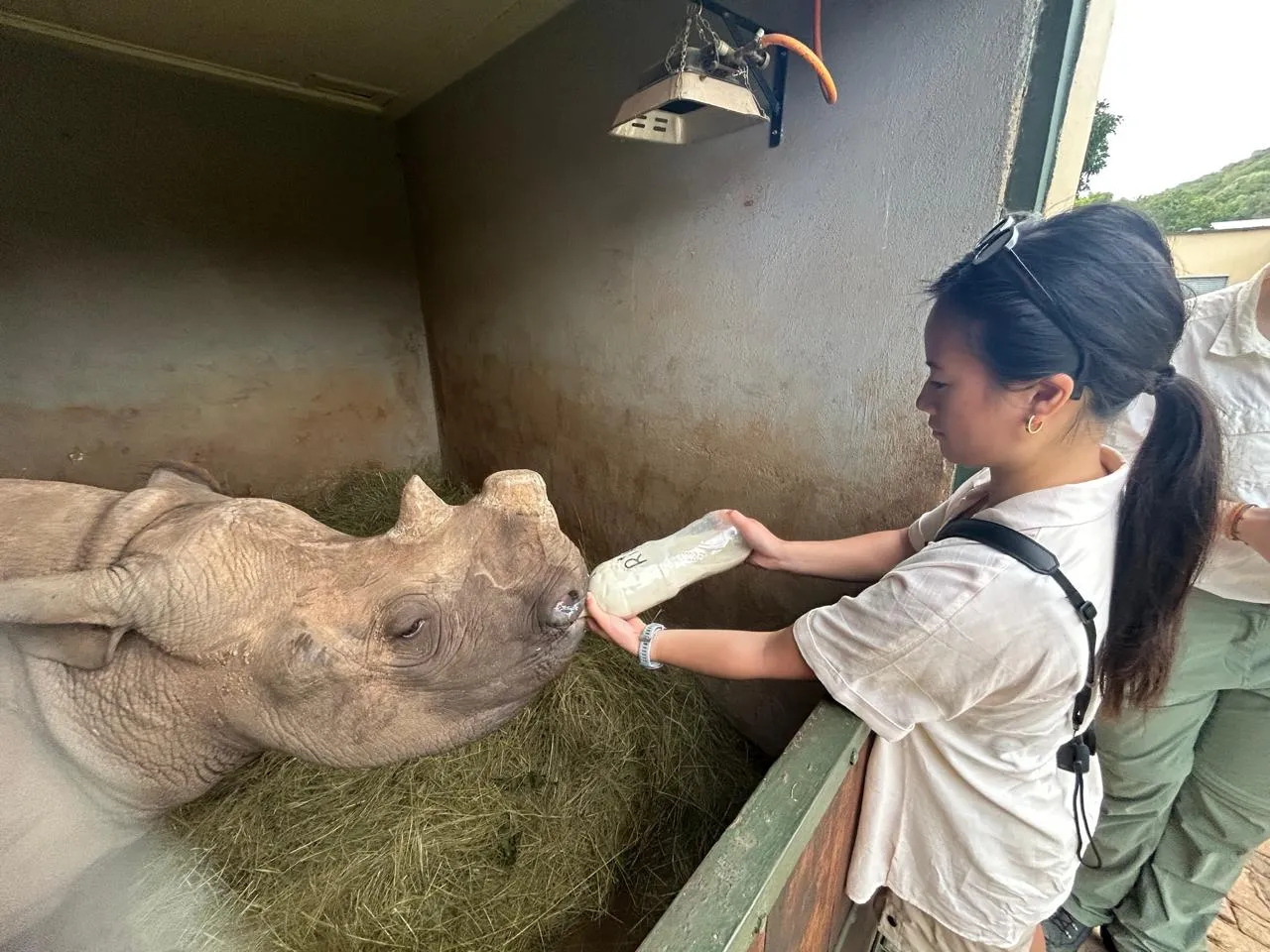 Caregiver bottle-feeding an orphaned baby rhino calf at Care for Wild