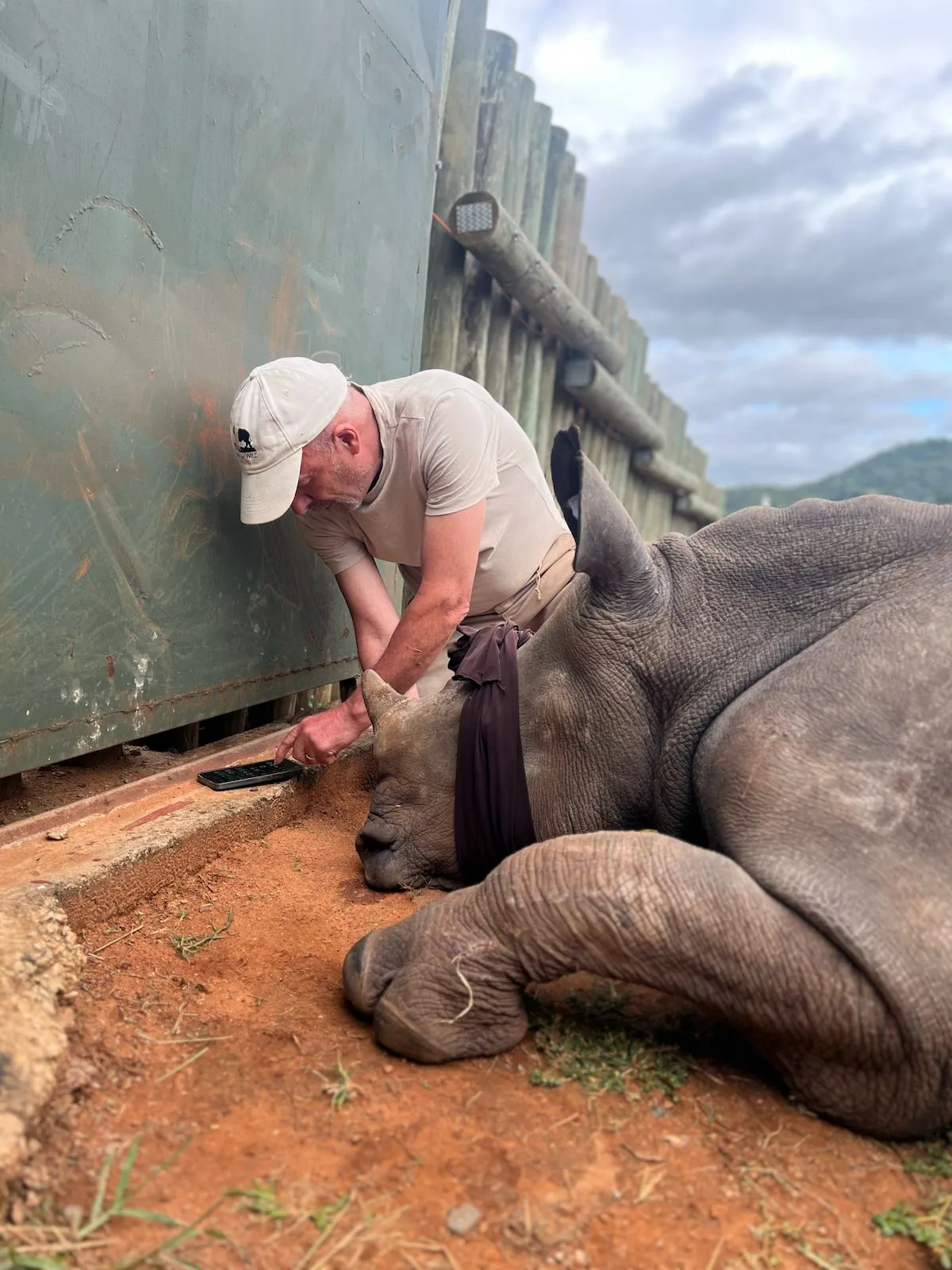 A process of horn trimming a rhino at Care for Wild