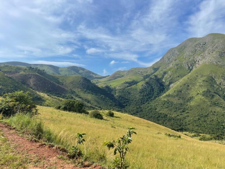 Before You Partner: What Biodiversity Reporting Asks of You
