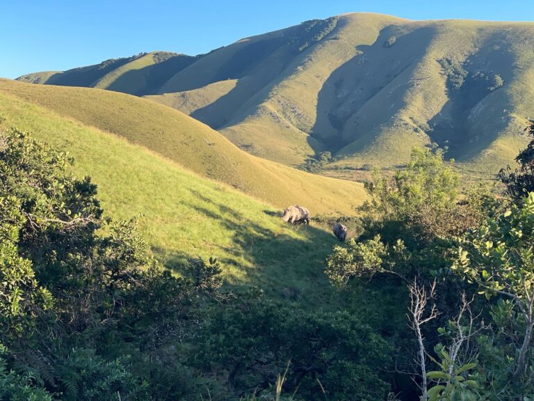 Two Very Different Ways to See Mpumalanga’s Wild Side