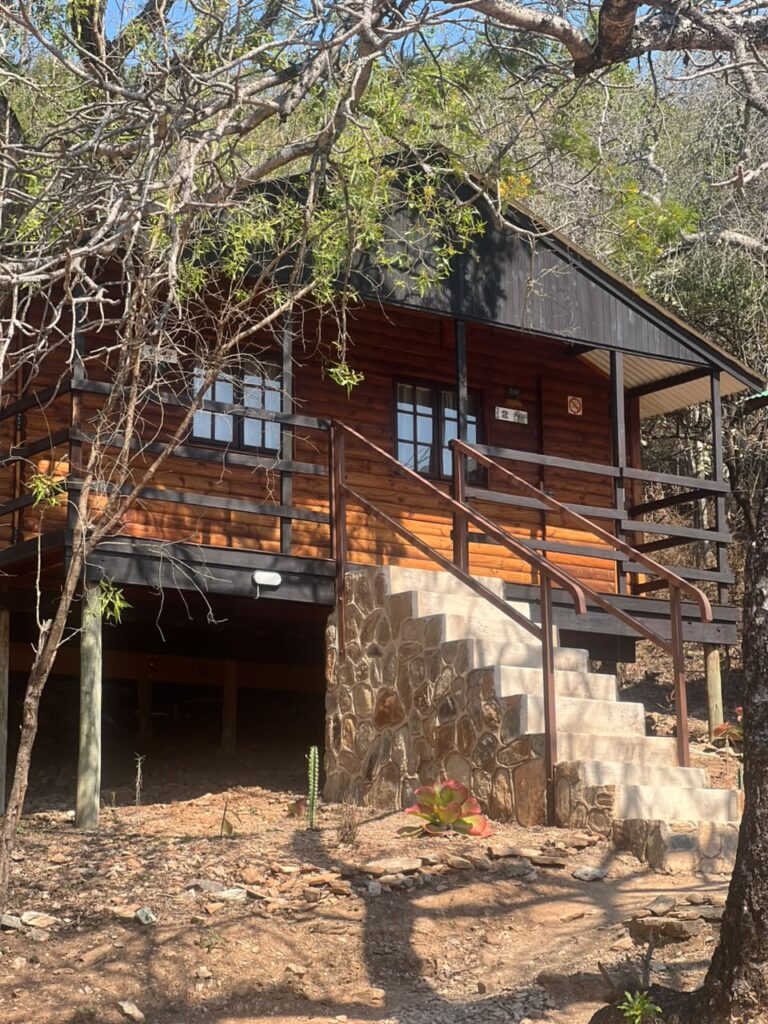 A Safari Where Your Stay Funds Conservation